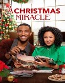 poster_a-christmas-miracle_tt10922620.jpg Free Download