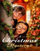 poster_a-christmas-mystery_tt22207152.jpg Free Download