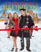 poster_a-christmas-reunion_tt5130174.jpg Free Download