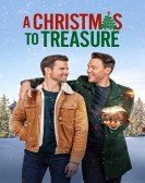 poster_a-christmas-to-treasure_tt21072238.jpg Free Download