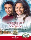 A Christmas Tree Grows in Colorado Free Download