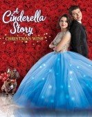 A Cinderella Story: Christmas Wish poster