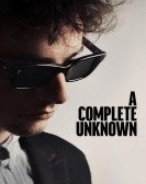 A Complete Unknown Free Download