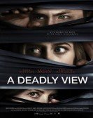 A Deadly View Free Download