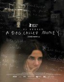 poster_a-dog-called-money_tt8299778.jpg Free Download