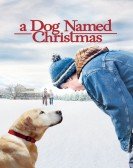 poster_a-dog-named-christmas_tt1519929.jpg Free Download