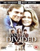 A Family Divided poster