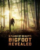 A Flash of Beauty: Bigfoot Revealed poster