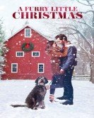 poster_a-furry-little-christmas_tt15233326.jpg Free Download