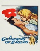 poster_a-gathering-of-eagles_tt0057090.jpg Free Download