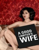 A Good Lawyer's Wife Free Download