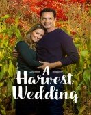 A HARVEST WEDDING Free Download