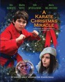 A Karate Christmas Miracle Free Download