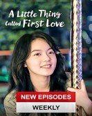 A Little Thing Called First Love poster