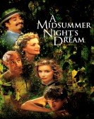 poster_a-midsummer-nights-dream_tt0140379.jpg Free Download