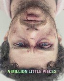 A Million Little Pieces Free Download