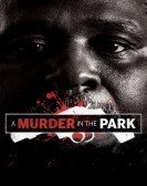 poster_a-murder-in-the-park_tt3168808.jpg Free Download