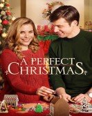 poster_a-perfect-christmas_tt5863634.jpg Free Download