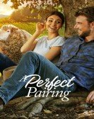 A Perfect Pairing Free Download