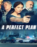 poster_a-perfect-plan_tt9261042.jpg Free Download