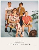 poster_a-perfectly-normal-family_tt8326624.jpg Free Download