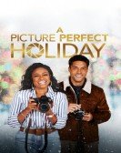 A Picture Perfect Holiday Free Download