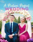 poster_a-picture-perfect-wedding_tt13697800.jpg Free Download