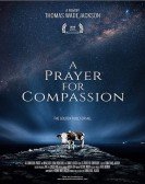 A Prayer for Compassion Free Download