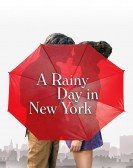 A Rainy Day in New York poster