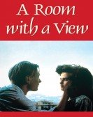 A Room with a View (1986) Free Download