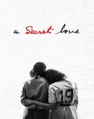 poster_a-secret-love_tt3260524.jpg Free Download