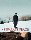 poster_a-separate-peace_tt0069249.jpg Free Download