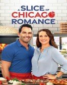 A Slice of Chicago Romance Free Download