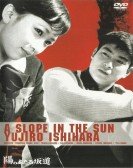 A Slope in the Sun Free Download