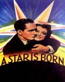 poster_a-star-is-born_tt0029606.jpg Free Download