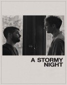 poster_a-stormy-night_tt10264878.jpg Free Download