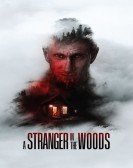 poster_a-stranger-in-the-woods_tt23157098.jpg Free Download