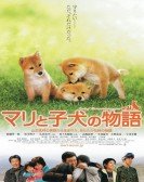 poster_a-tale-of-mari-and-three-puppies_tt1921012.jpg Free Download