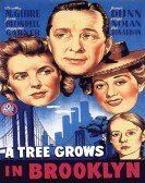 A Tree Grows in Brooklyn Free Download