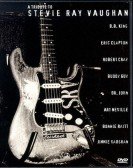 poster_a-tribute-to-stevie-ray-vaughan_tt0179491.jpg Free Download