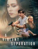 poster_a-violent-separation_tt3170458.jpg Free Download