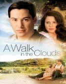 poster_a-walk-in-the-clouds_tt0114887.jpg Free Download