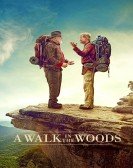 poster_a-walk-in-the-woods_tt1178665.jpg Free Download