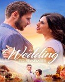 A Wedding to Remember Free Download