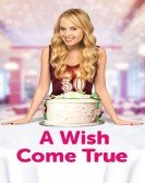 poster_a-wish-come-true_tt4146410.jpg Free Download