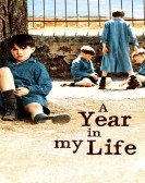 A Year in My Life Free Download