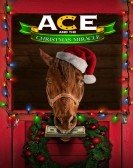 Ace & the Christmas Miracle Free Download