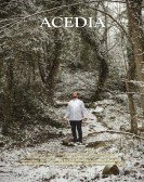 Acedia poster