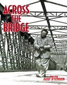 Bridge Acros poster