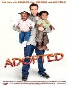 Adopted Free Download